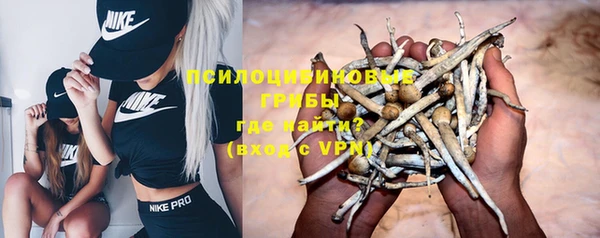 кокс Алзамай