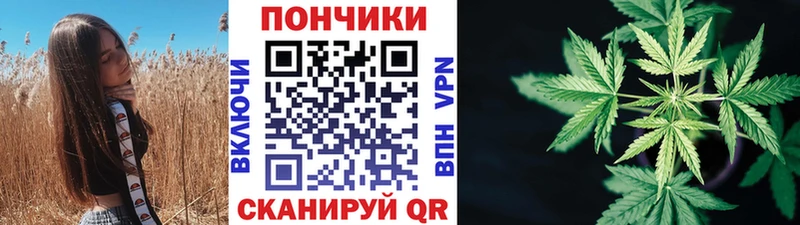 закладка  Пласт  Марихуана конопля 